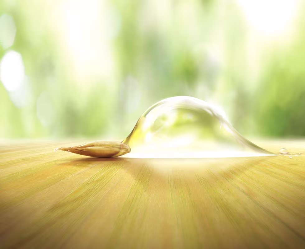 아비노 #OatmealMiracle - Homepage Image 5 - Aveeno - ko-KR