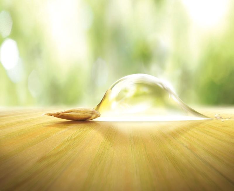 아비노 #OatmealMiracle - Homepage Image 5 - Aveeno - ko-KR