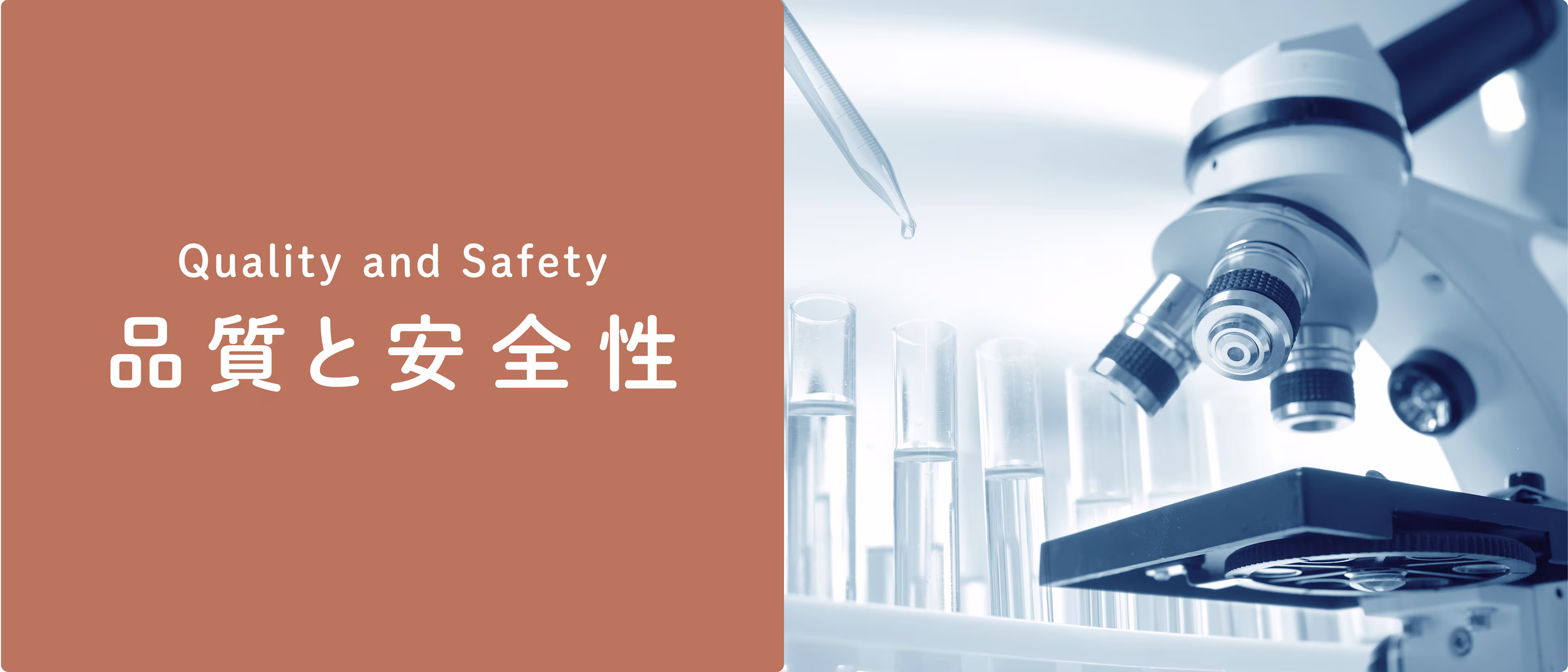 研究3