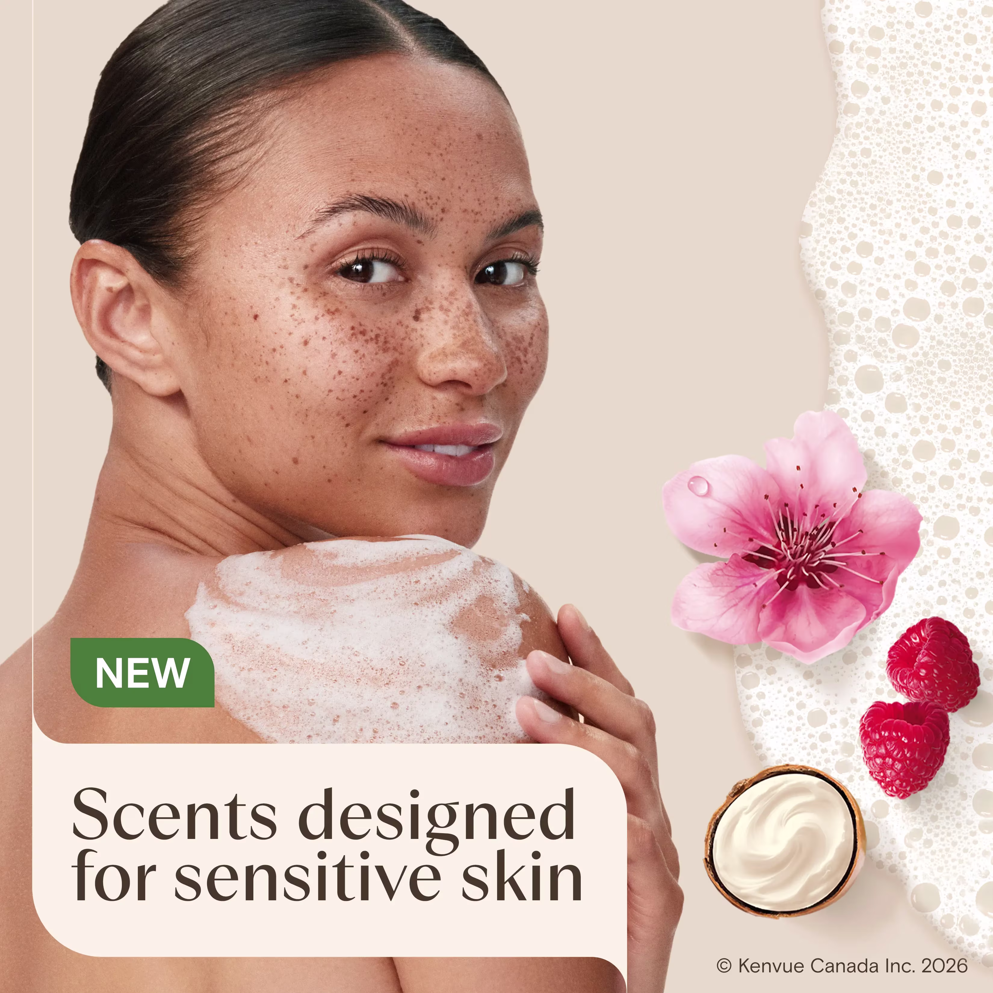 AVEENO Daily Moisturizing™ Body Wash Shea Butter Berry Scent