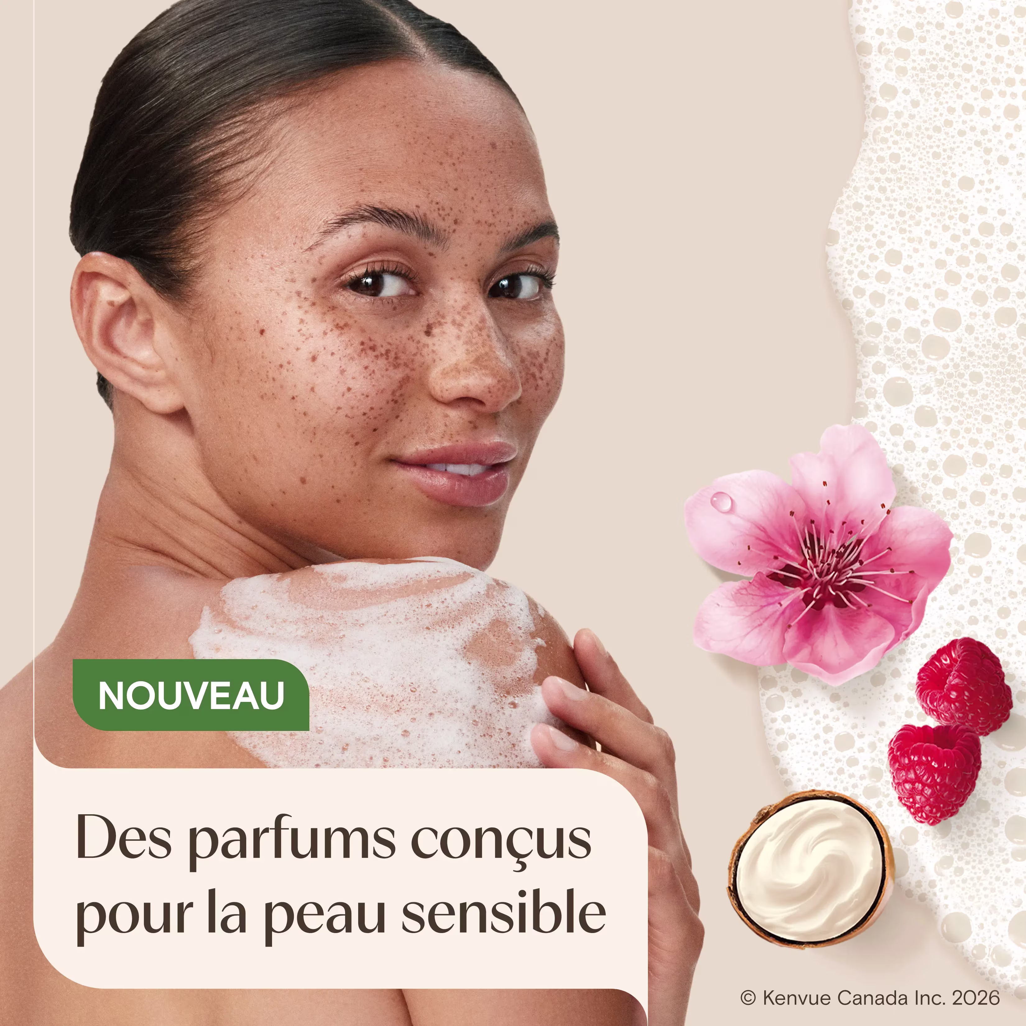AVEENO Daily MoisturizingMC Body Wash Shea Butter Berry Scent ​