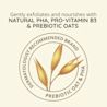 Tone + Texture Gentle Renewing Night Cream Ingredients