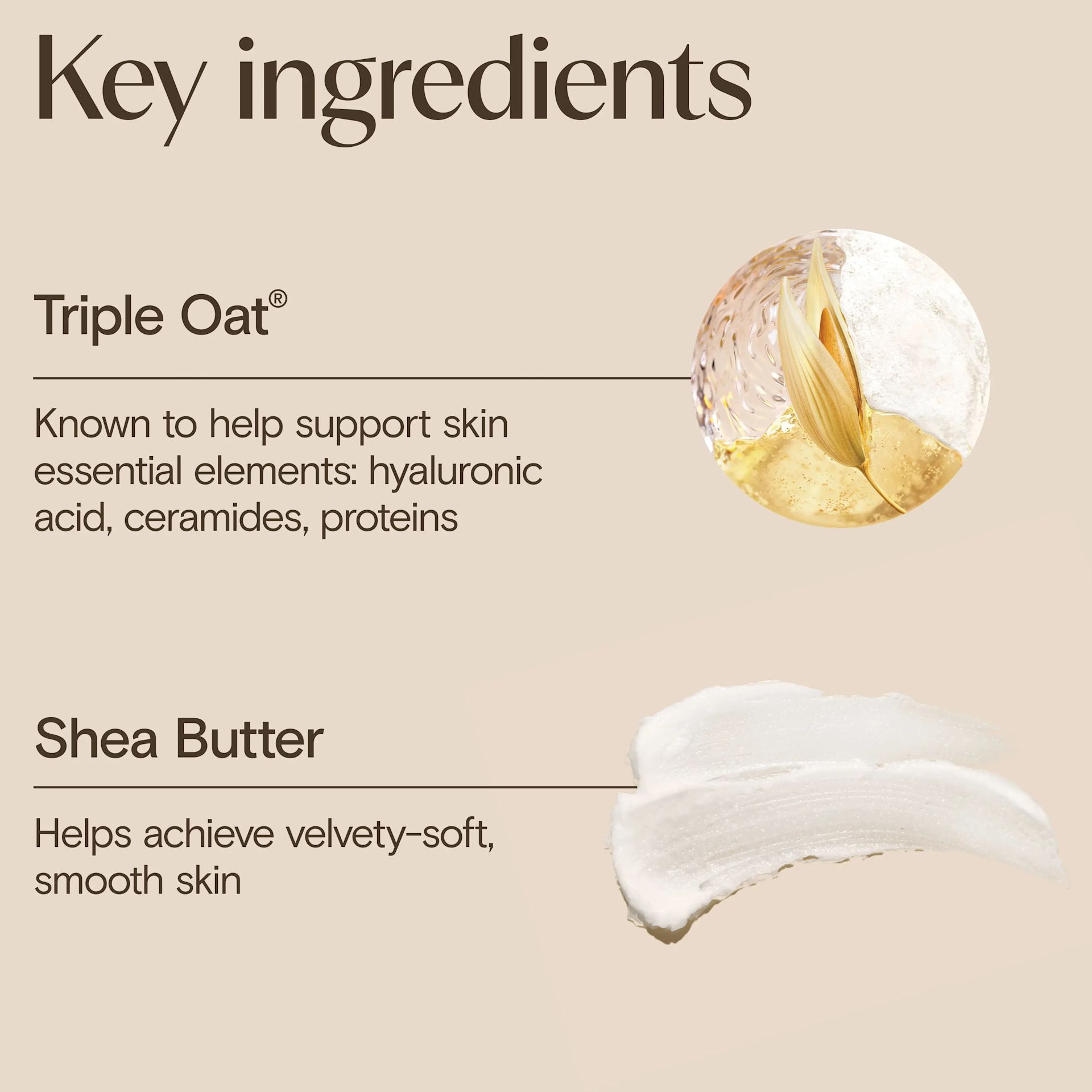 Aveeno® Skin Relief Overnight Cream Key Ingredients, Triple Oat® & Shea Butter