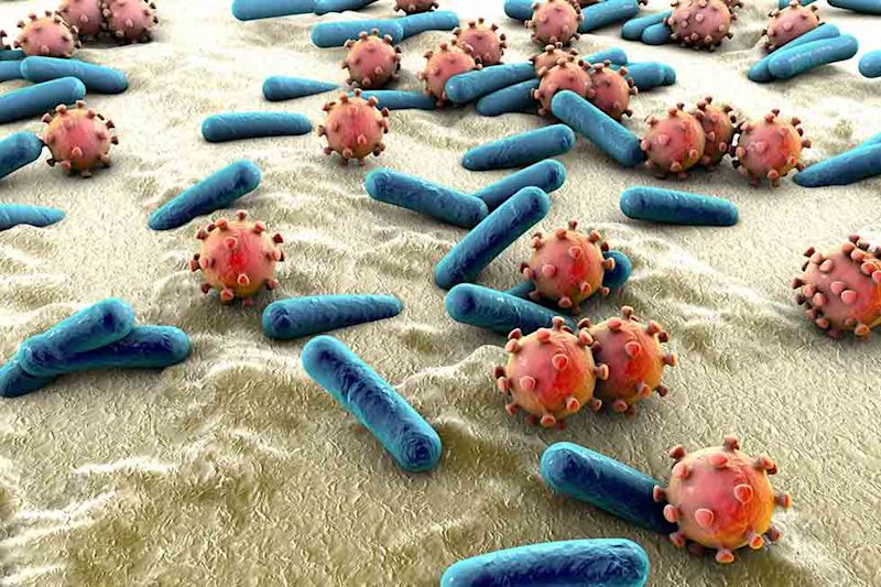 Skin Microbiome คืออะไร ?