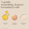 AVEENO Calm + Restore Make-Up Removing Cleanser Image 3