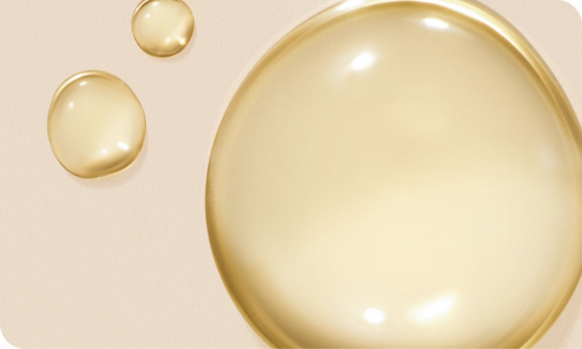 Illustration of Oat Oil, one of the main ingredients of Aveeno® brand.