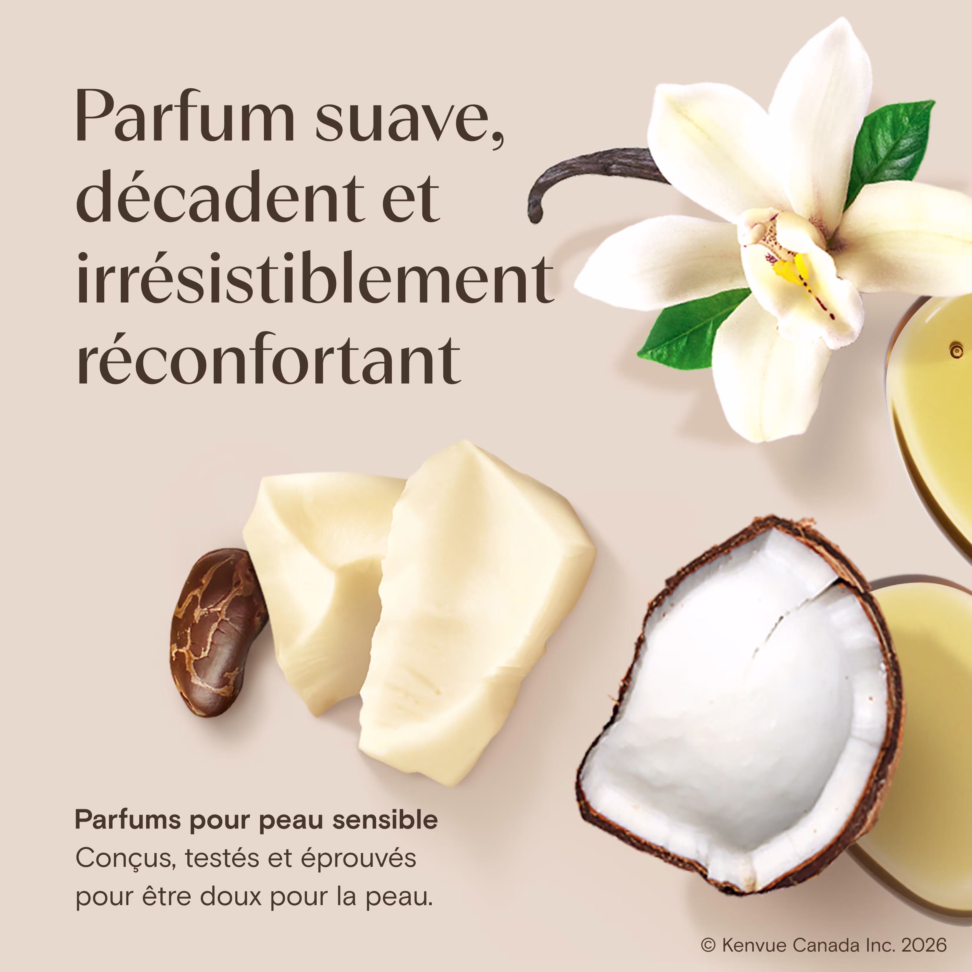 BodyOil CocoaButter Vanilla
