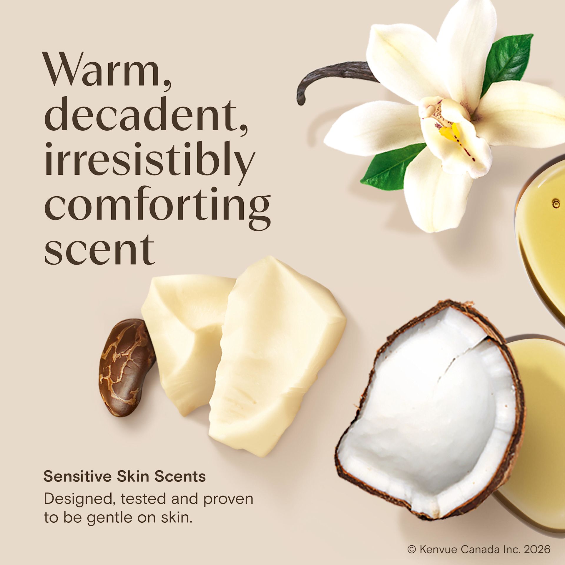 BodyOil CocoaButter Vanilla
