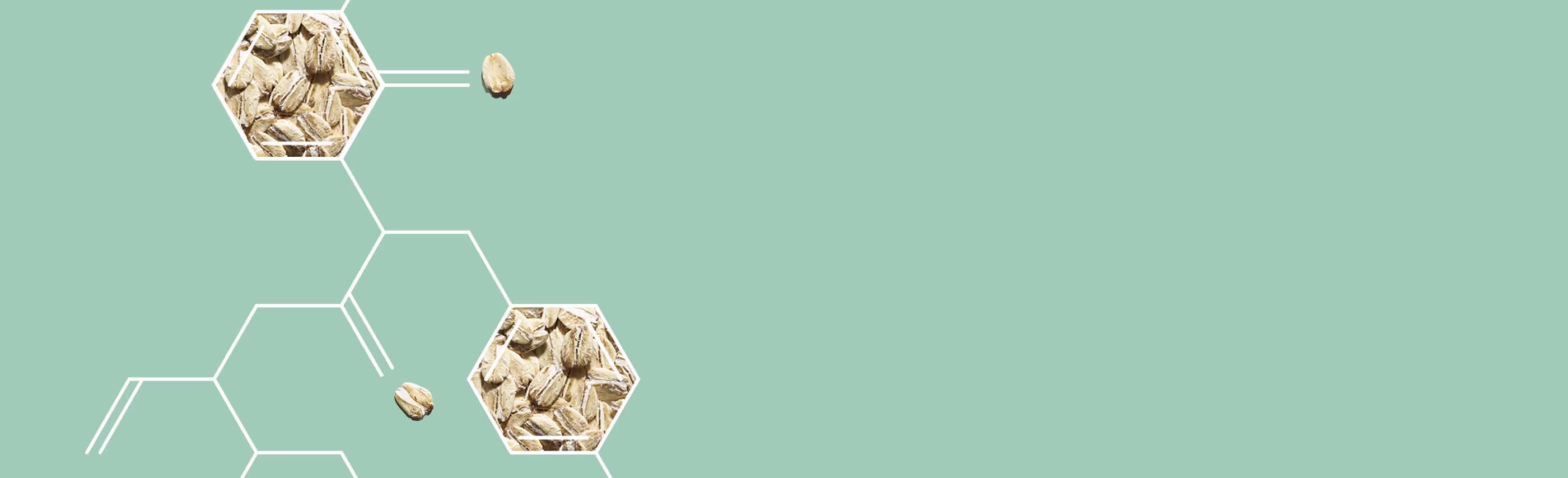 molecole di avena in aveeno active naturals