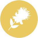 Safflower oil