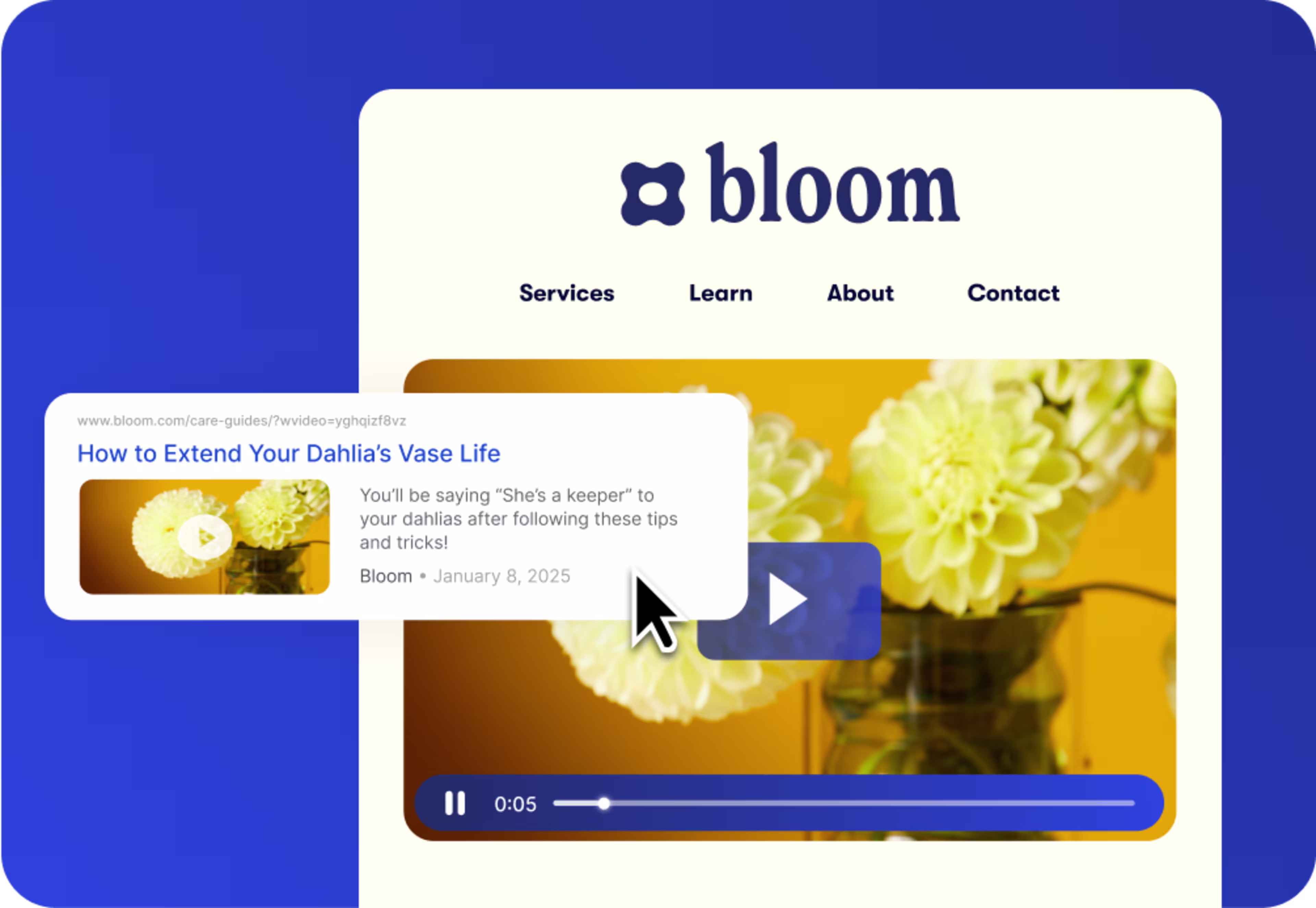 A browser showing video search results for the brand Bloom