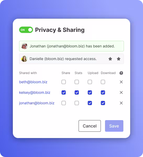 Team access and permissions controls
