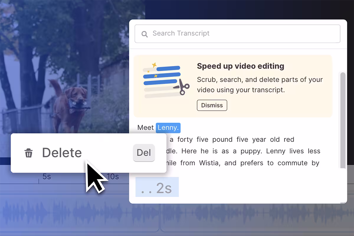 Text-Based-Editing-Wistia