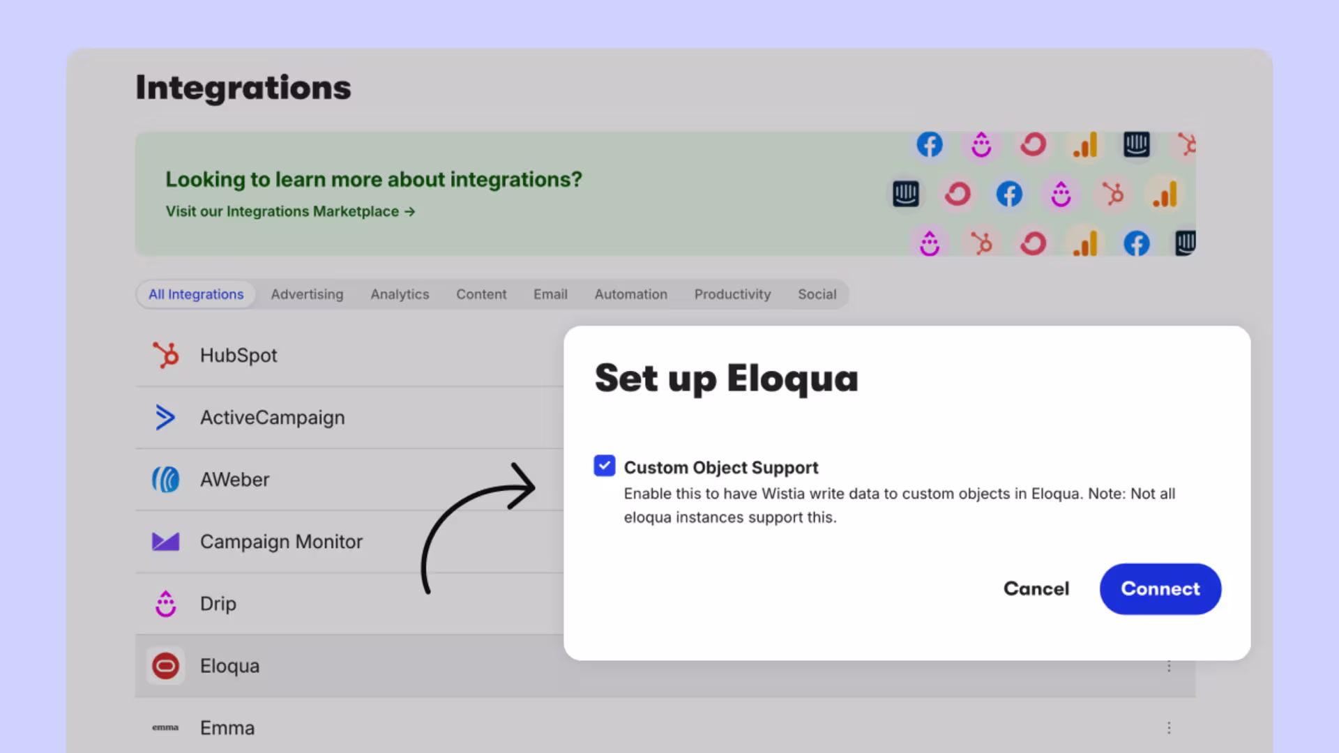Wistia integrations page with Eloqua selected; a modal titled “Set up Eloqua” shows a checked option for ‘Custom Object Support’ and buttons for Cancel and Connect.