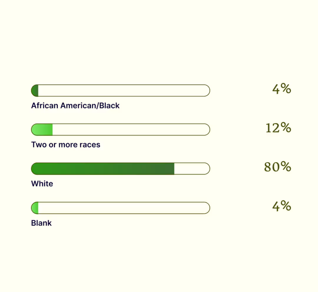 Director+ diversity breakdown showing Blank 4%, African American/Black 4%, Two or more races 12%, White 80%