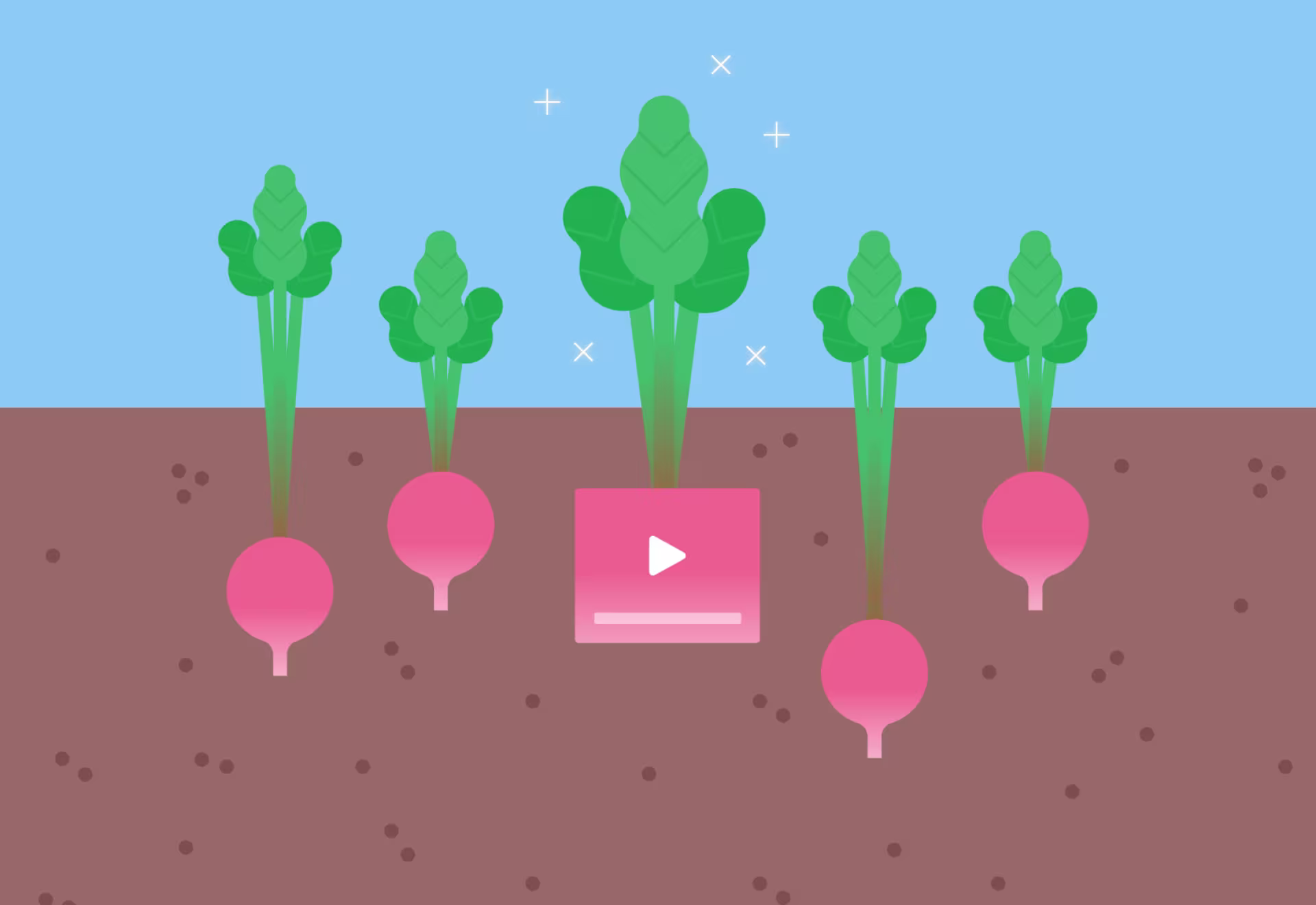 Grow-with-video