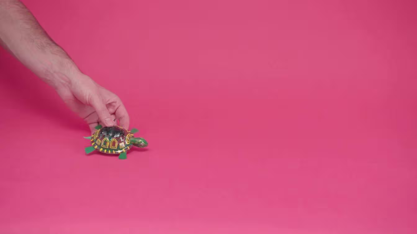 Release