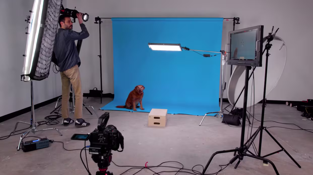 petto-and-lenny-color-backdrop