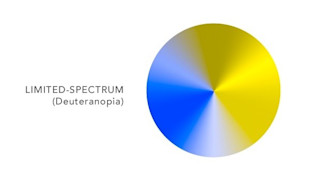 color-blind-spectrum