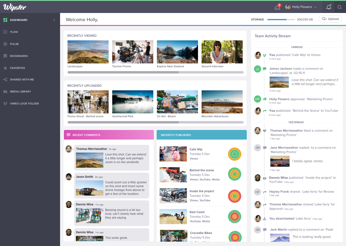 Wipster integration screenshot 1