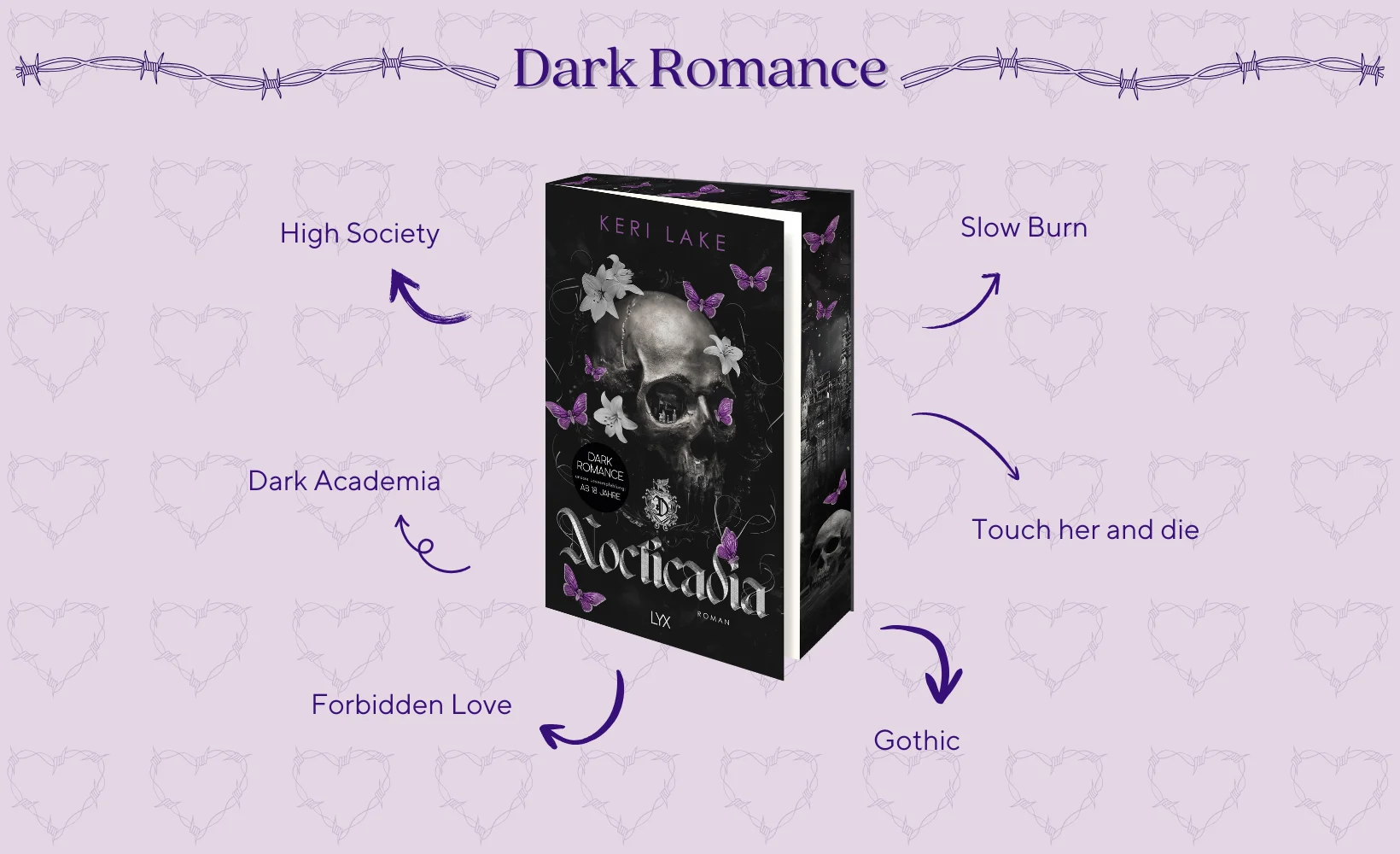 Nocticadia Novi Artikel