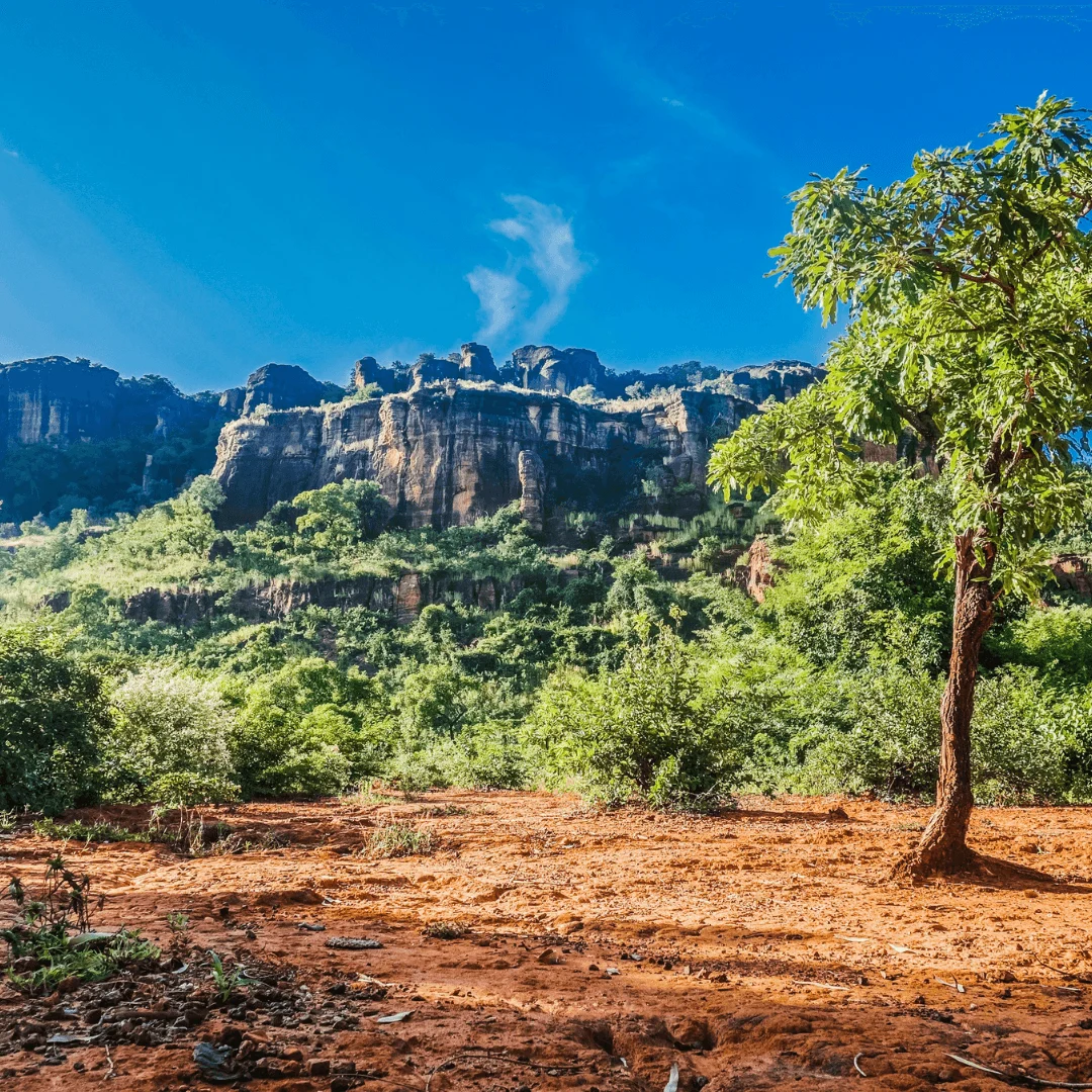 مالي destination