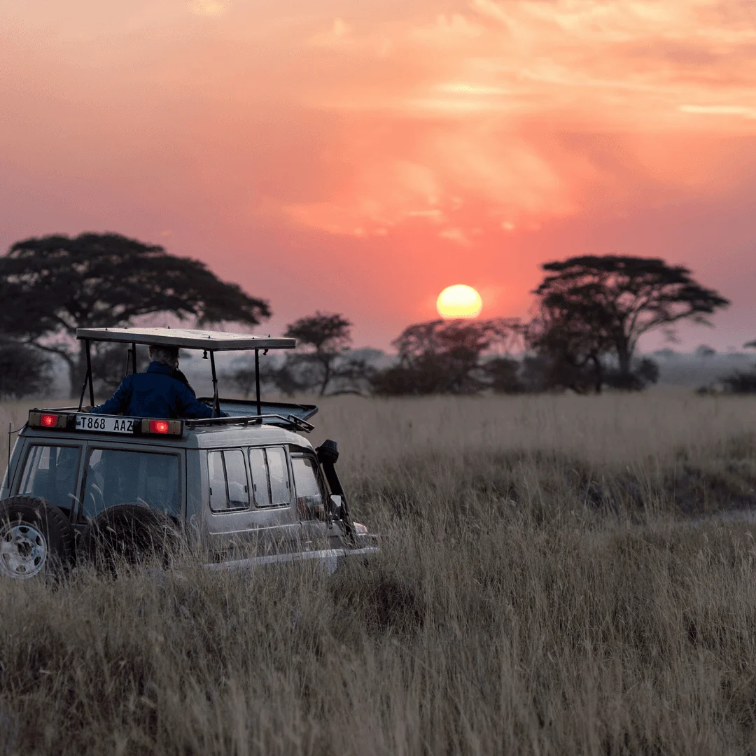 Tanzania destination