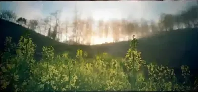 Куда поехать в мае
