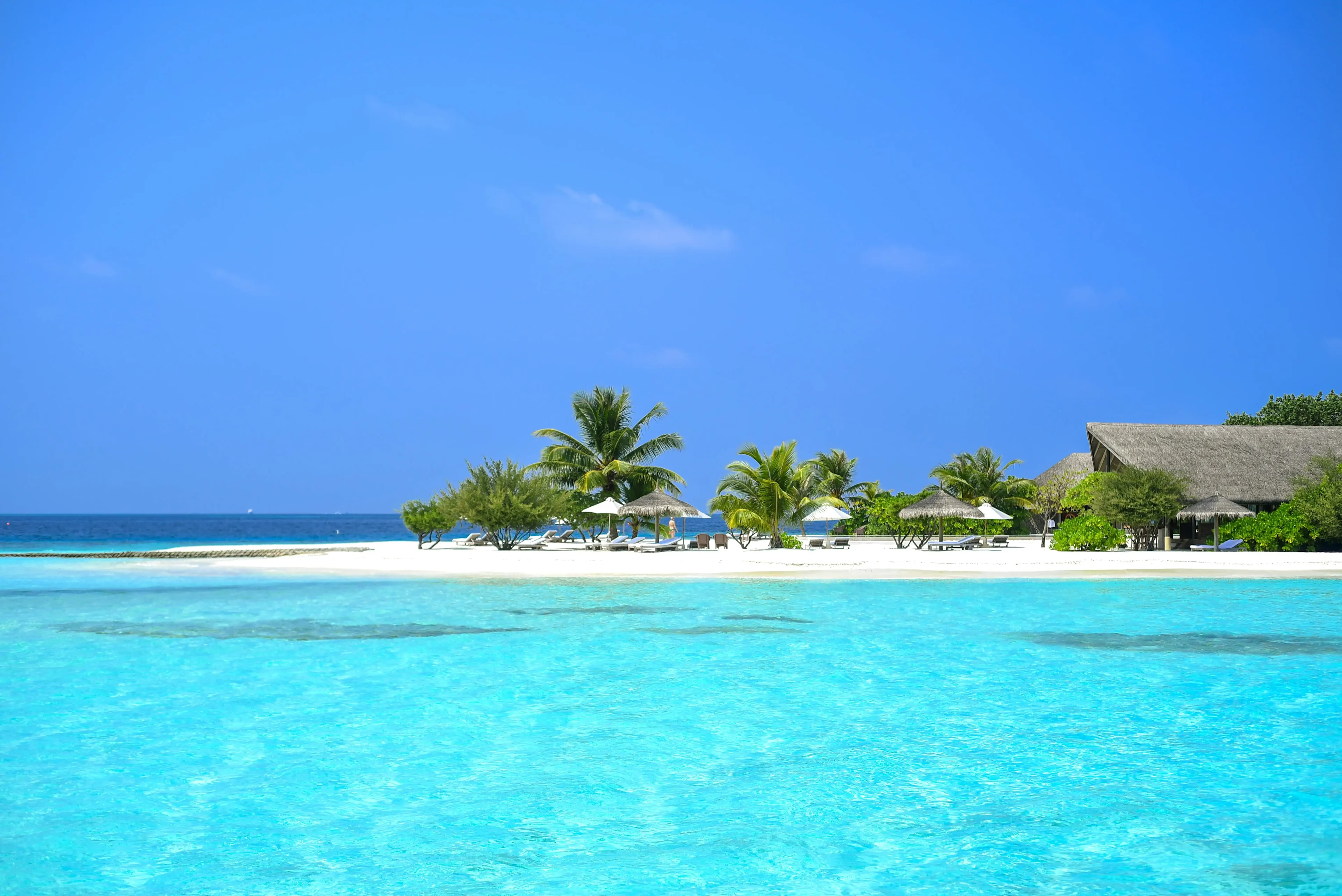 Tropical island with clear blue water and palm trees