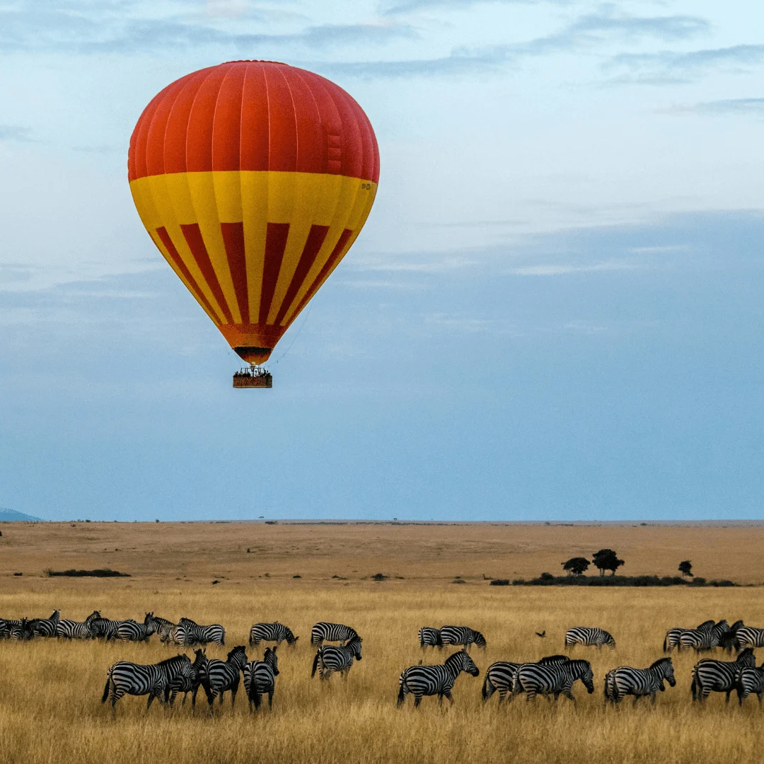 Kenya destination