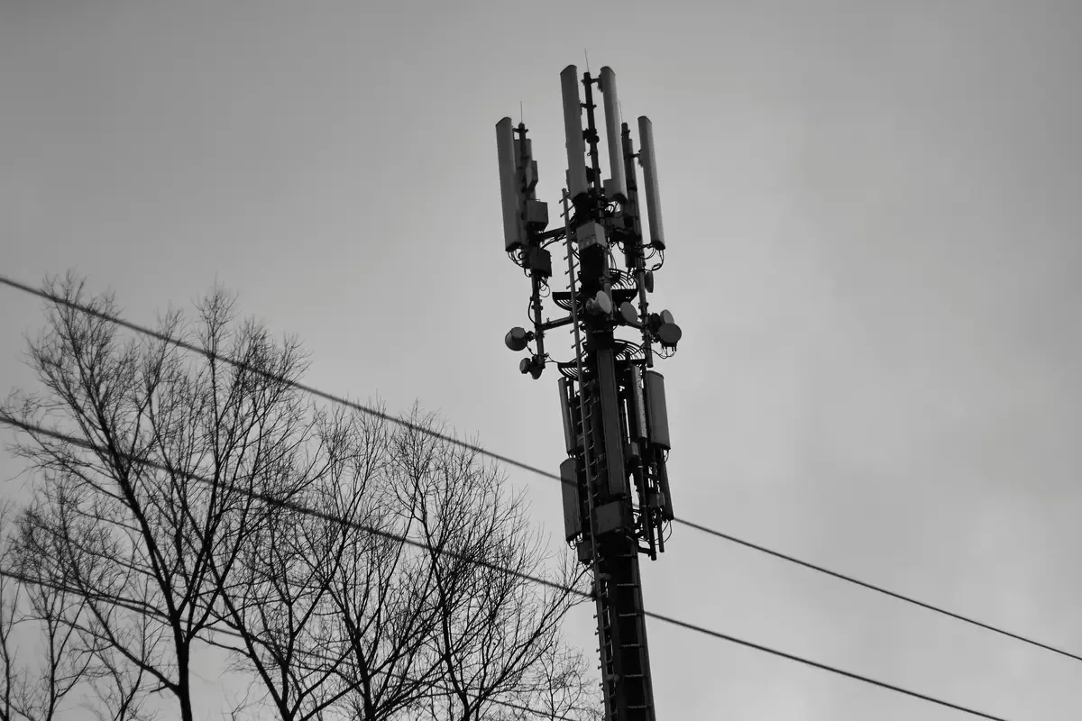 a cell tower and trees