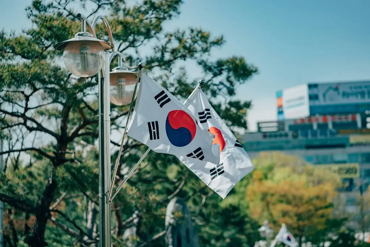 “South Korean flags waving on a street lamp in a city park