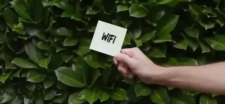 Считается ли использование WiFi роумингом?