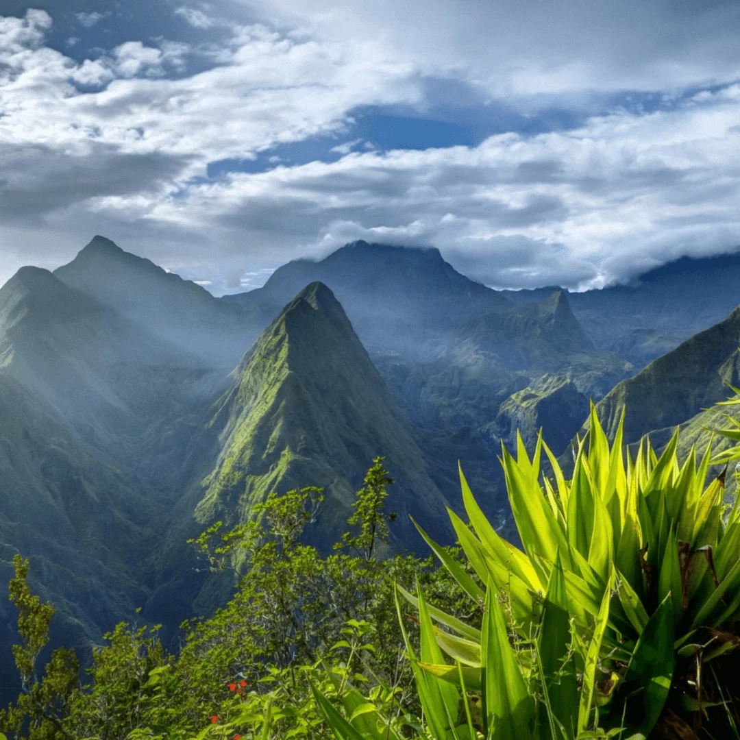 Réunion destination