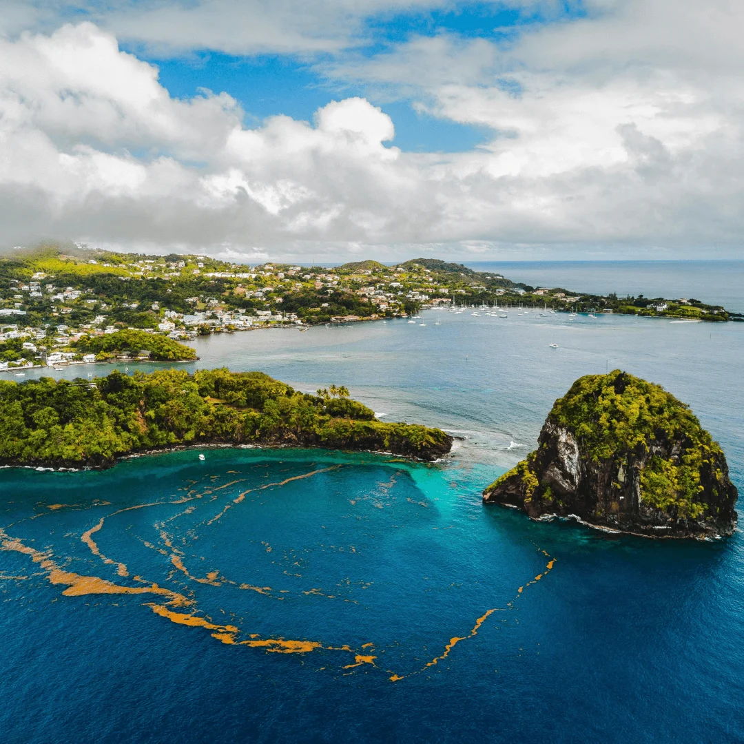 Saint-Vincent-et-les-Grenadines destination