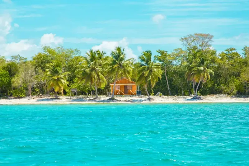 sea, trees, and a house