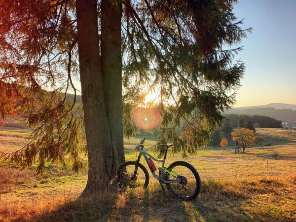 Assurance Cycliste