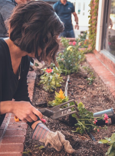 Entrepreneur jardinier :<br>vos assurances enfin simples