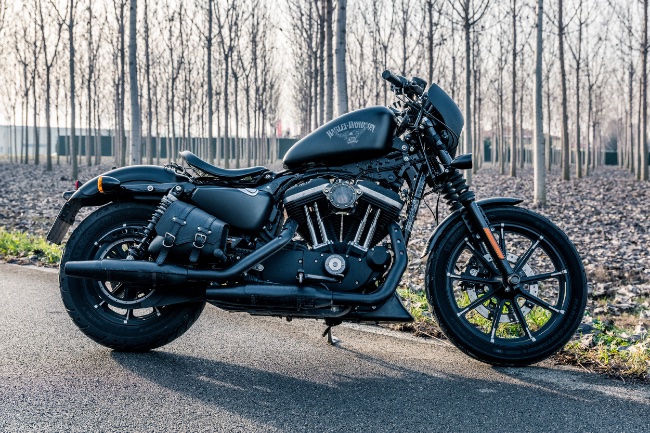 Harley 883 iron Customs
