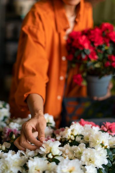 Protégez votre boutique et vos fleurs en tant que fleuriste