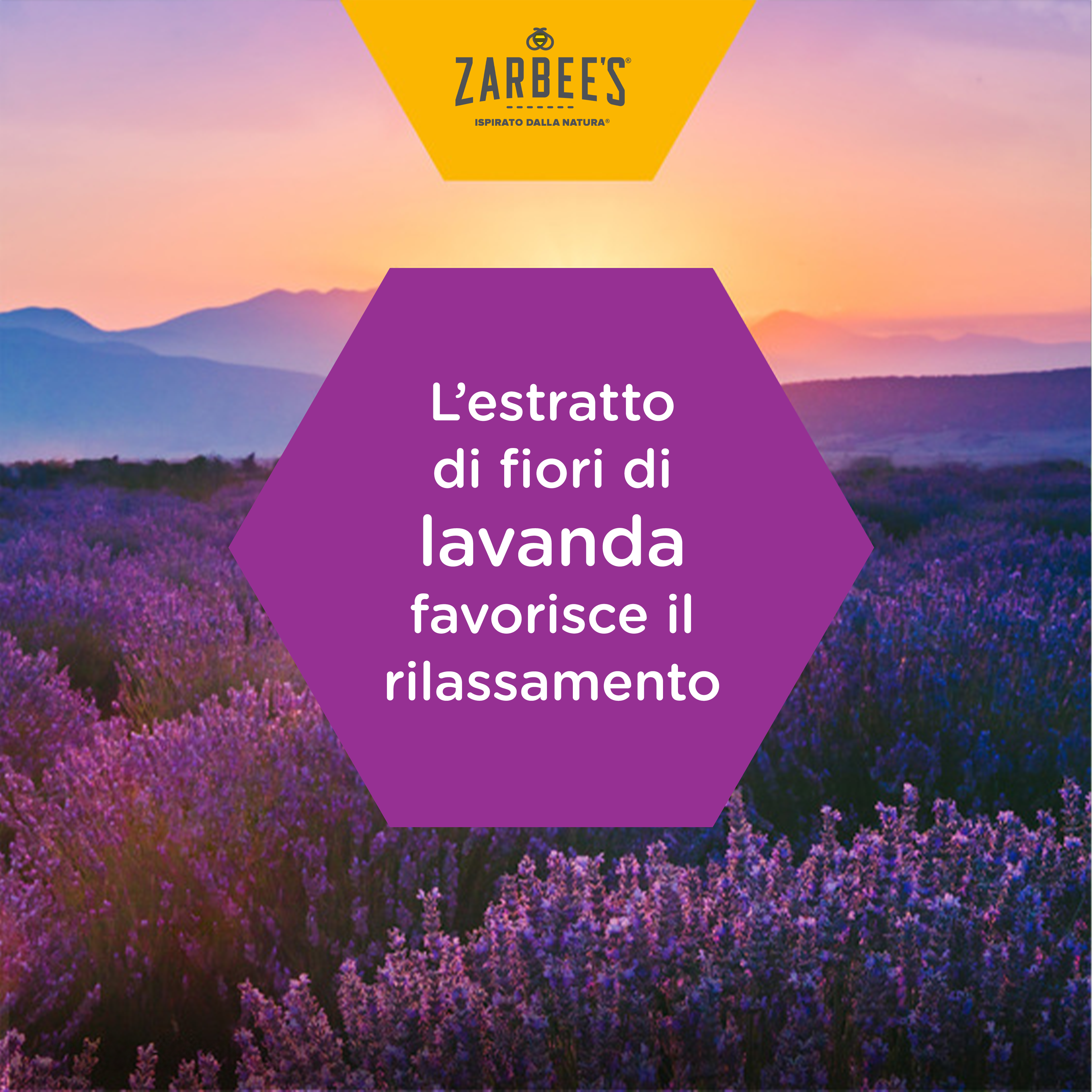 L'estratto di fiori di lavanda favorisce il rilassamento - Asset