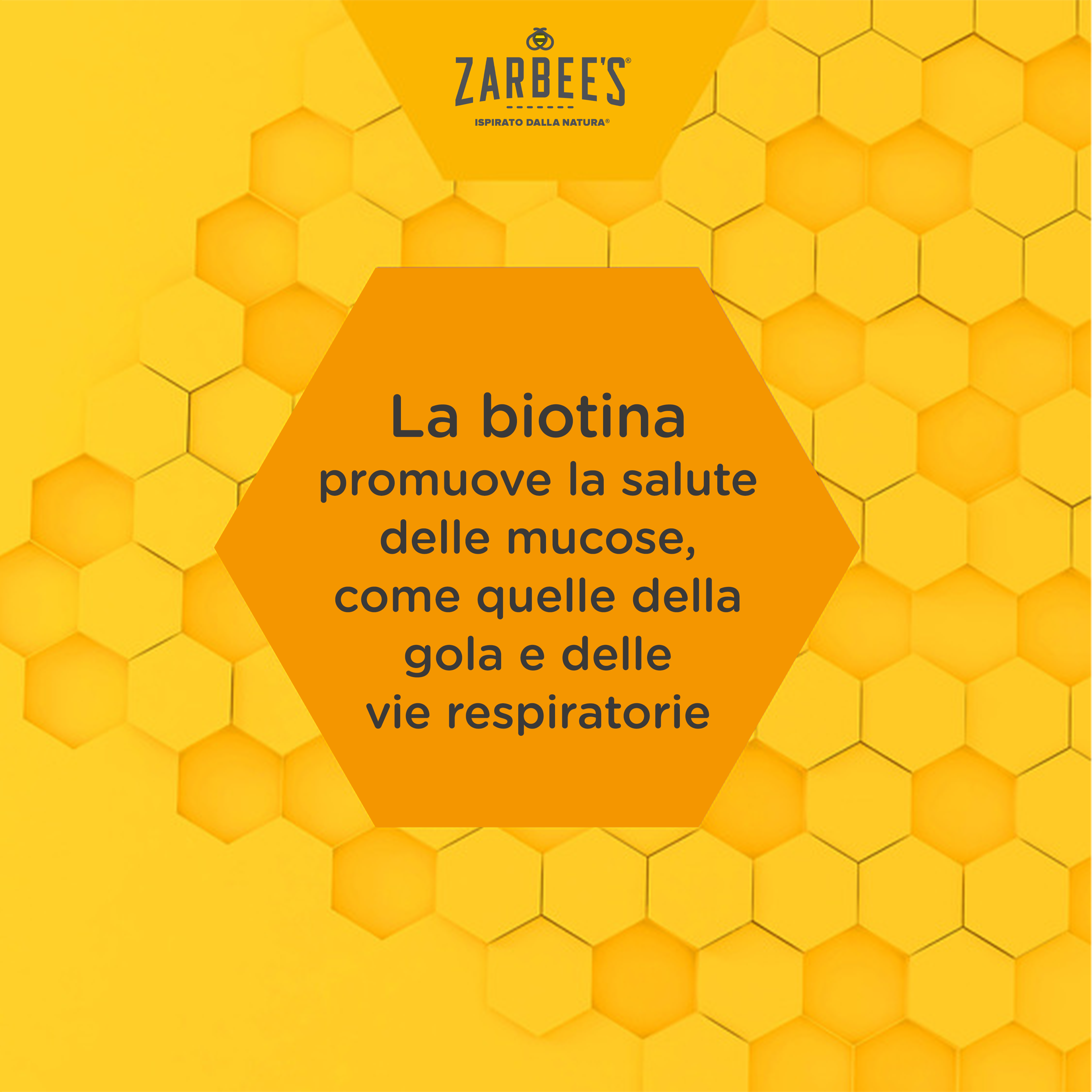 La biotina promuove la salute delle mucose, come quelle della gola e delle vie respiratorie - Asset