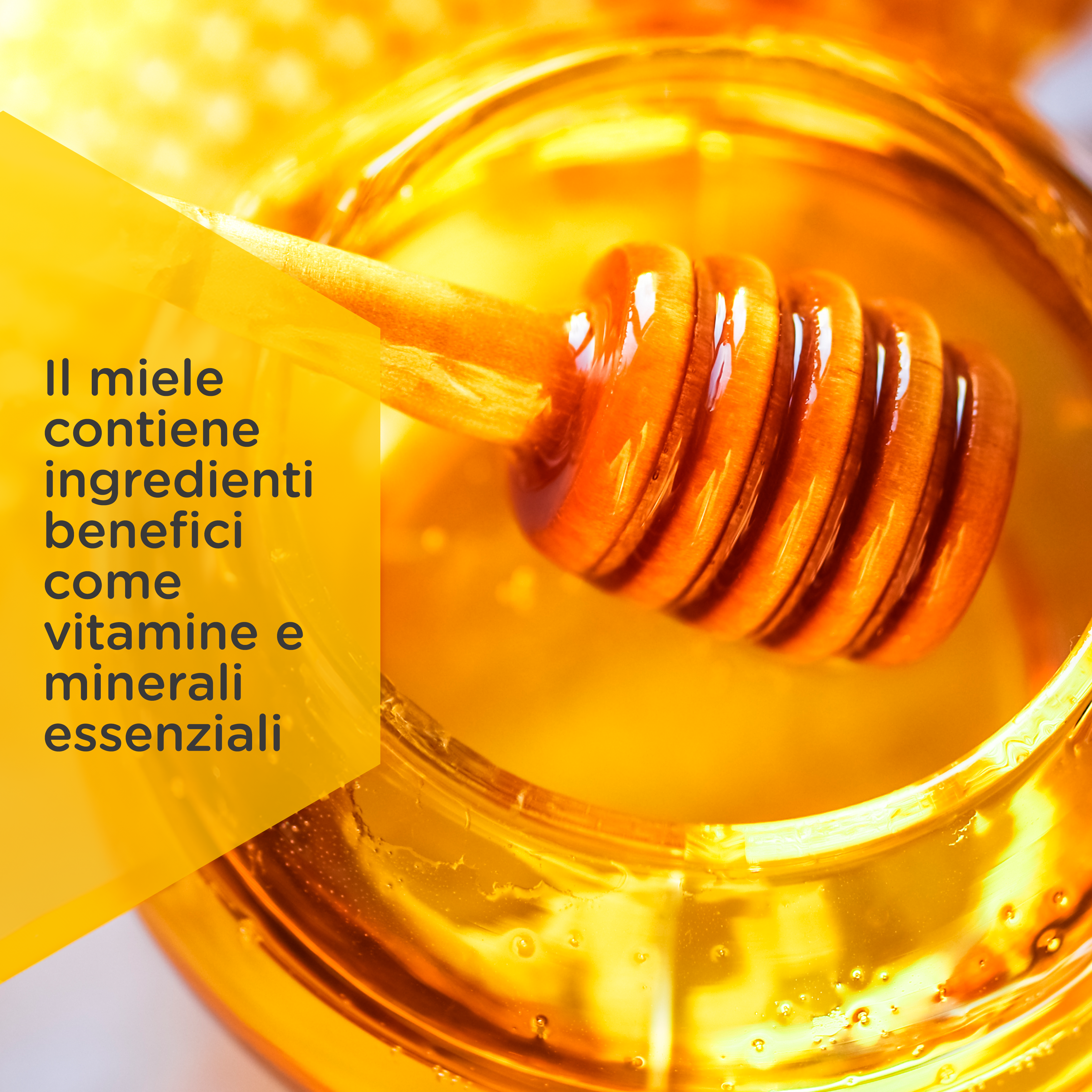 Il miele contiene ingredienti benefici come vitamine e minerali essenziali - Asset