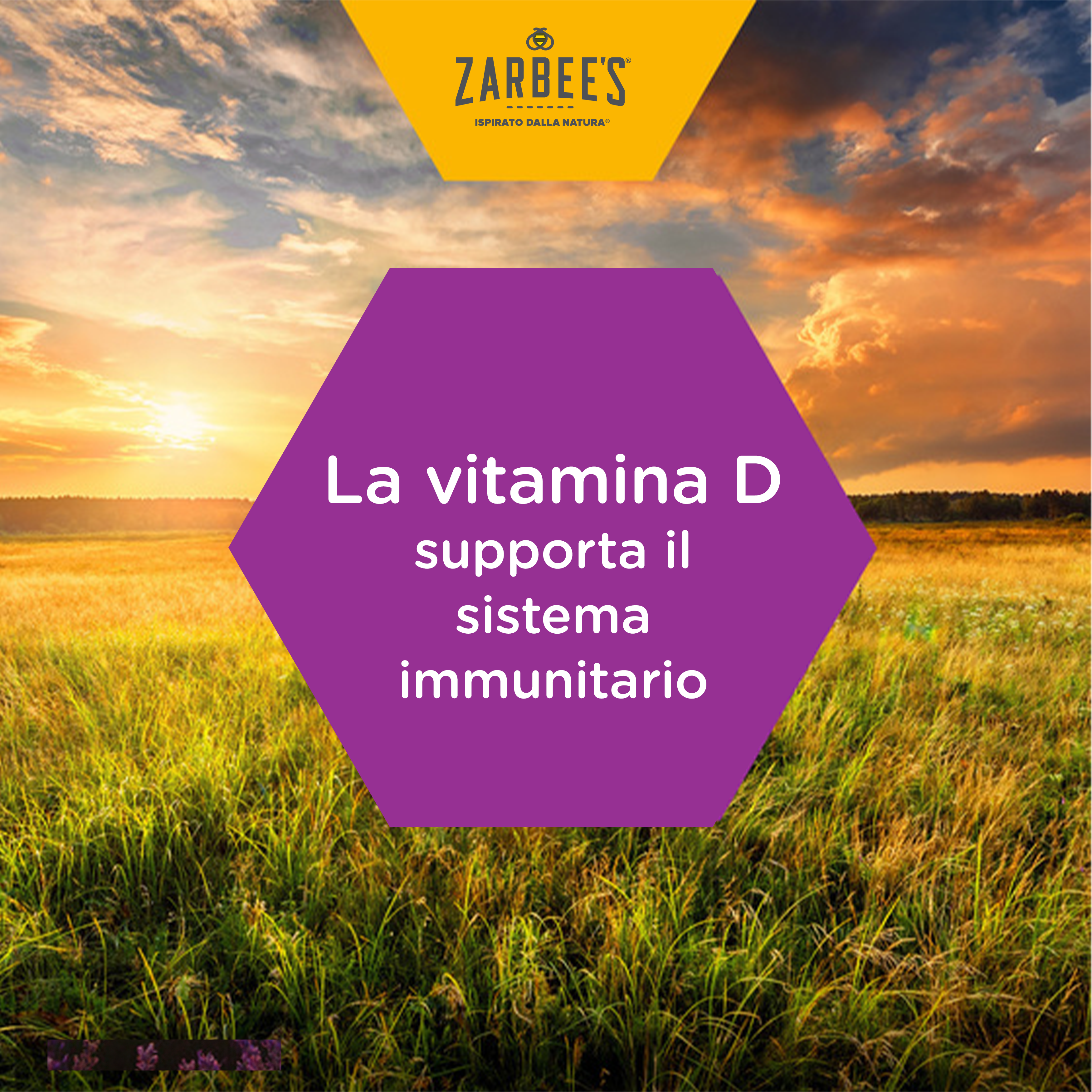 La vitamina D supporta il sistema immunitario - Asset