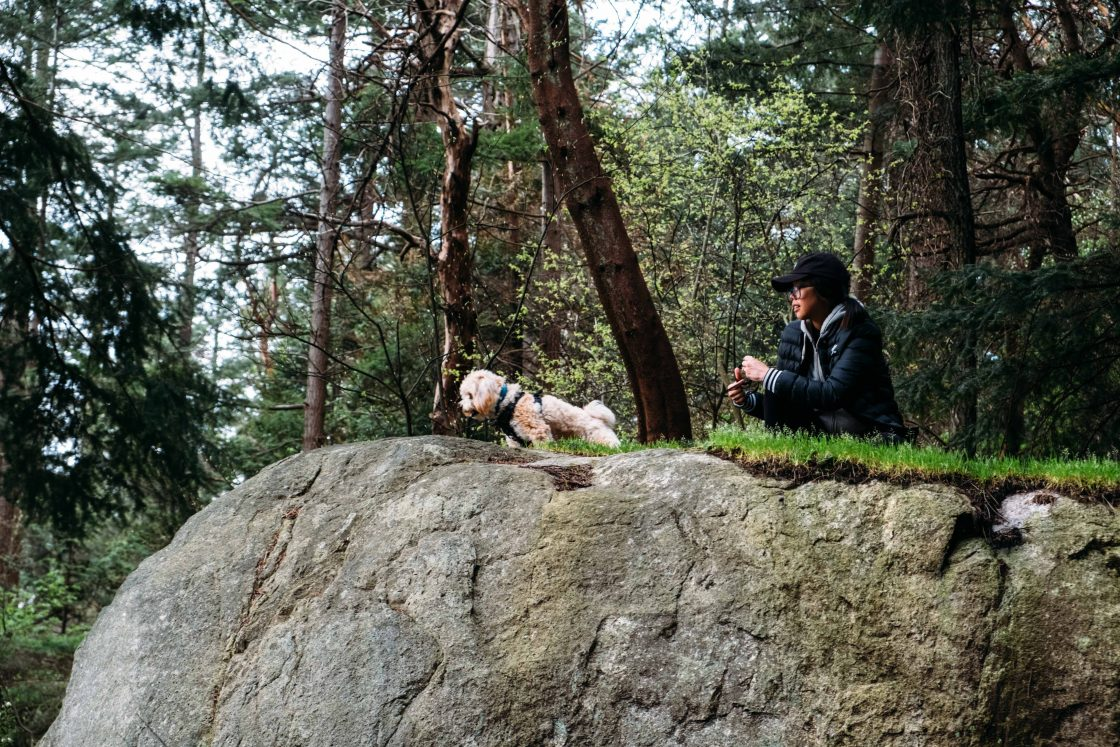 Lighthouse Park With Simcoe - hero