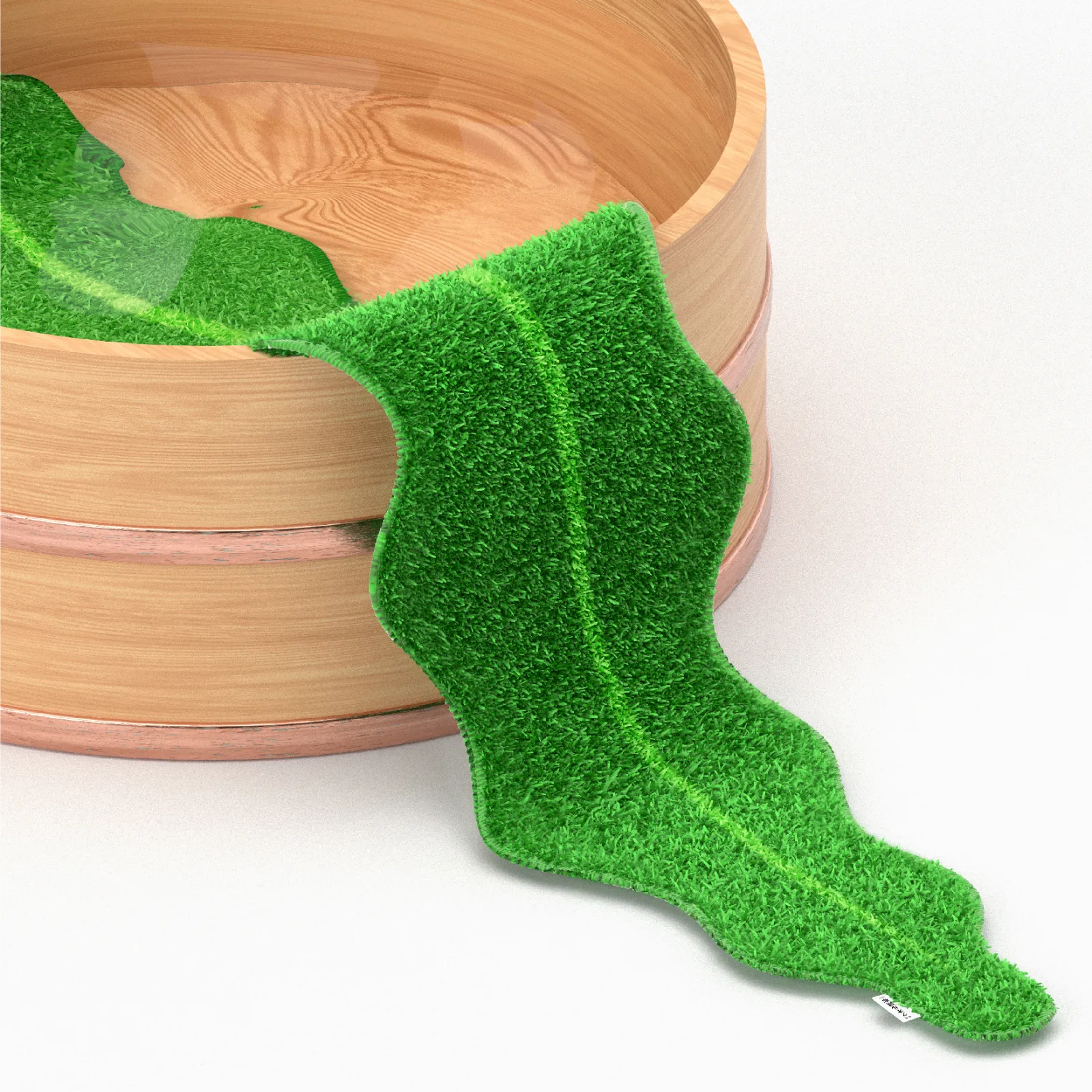 seaweed4