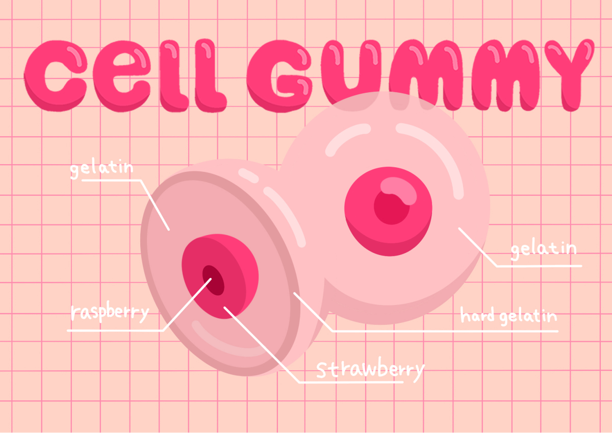 gummy1