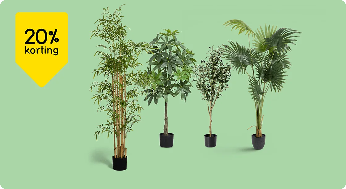 Alle kunstplanten 20% korting