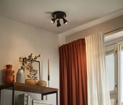 Categorie - Plafondlampen - Zwart - NL