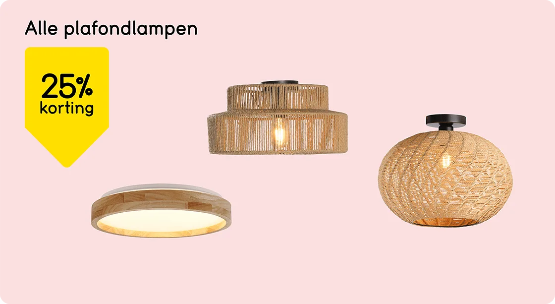 Alle plafondlampen 25% korting